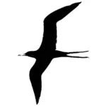 Fregatt fuglen vector illustrasjon